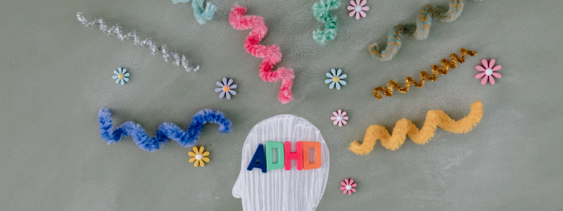 Blog Banner (800 X 300 Px) (2)