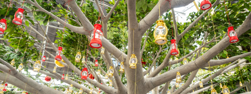 Blog Banner (800 X 300 Px)